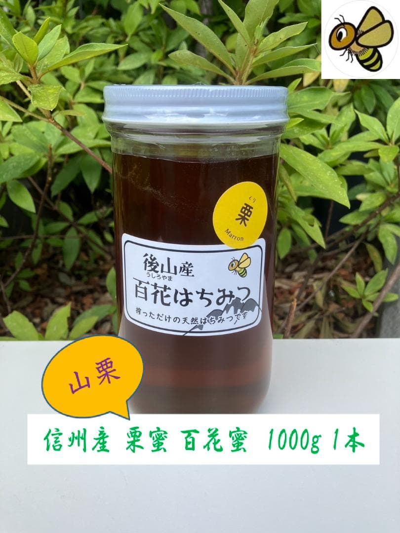 【うずまき】 国産蜂蜜 1000g 2本 長野県産 セイヨウミツバチ