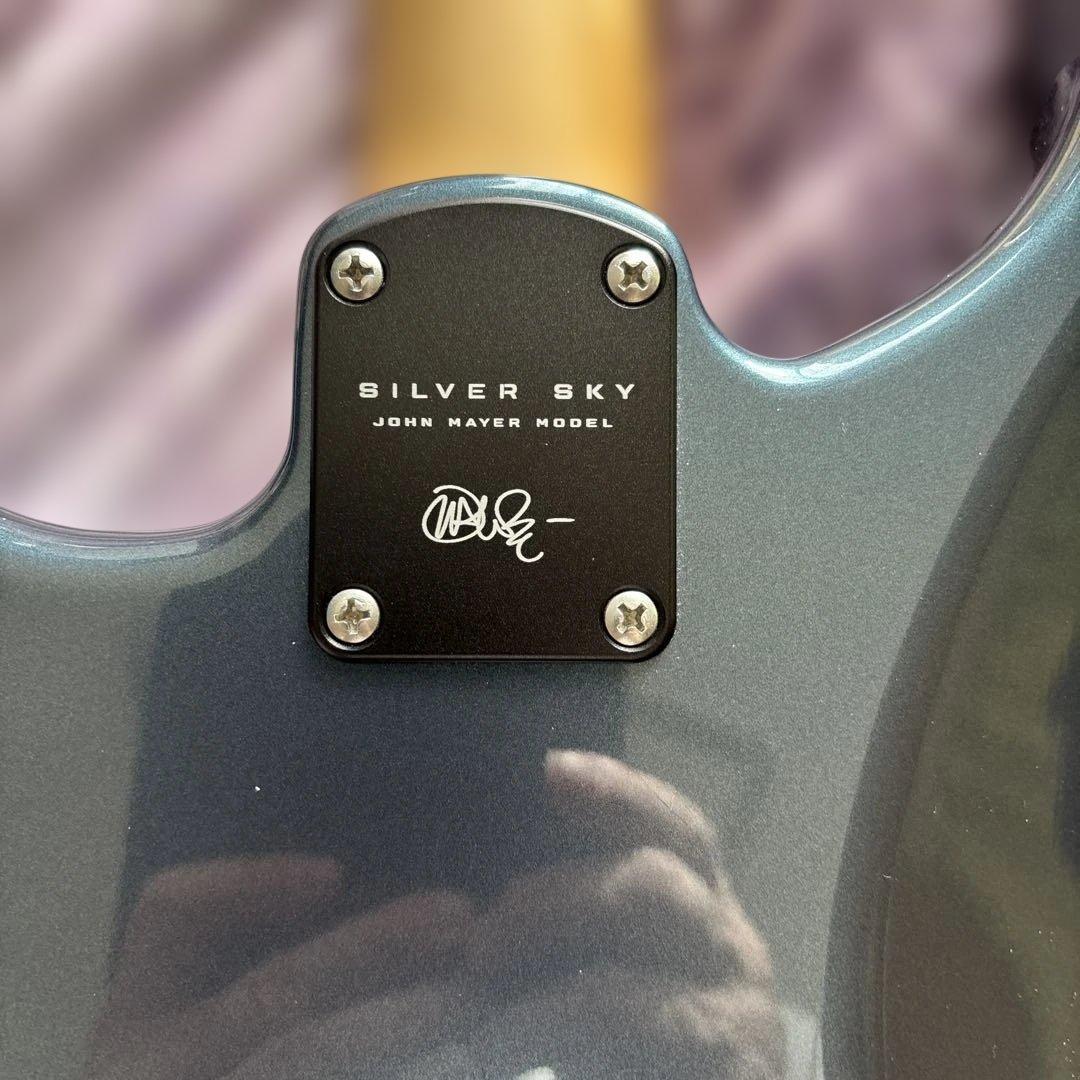 金土日限定特価　美品 PRS USA Silver Sky