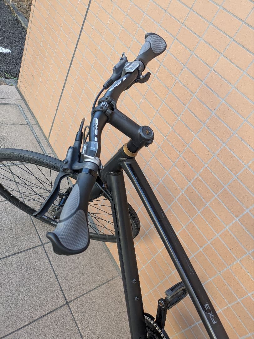 【近隣配送無料！】TREK FX 3 クロスバイク ブラック 自転車 トレック