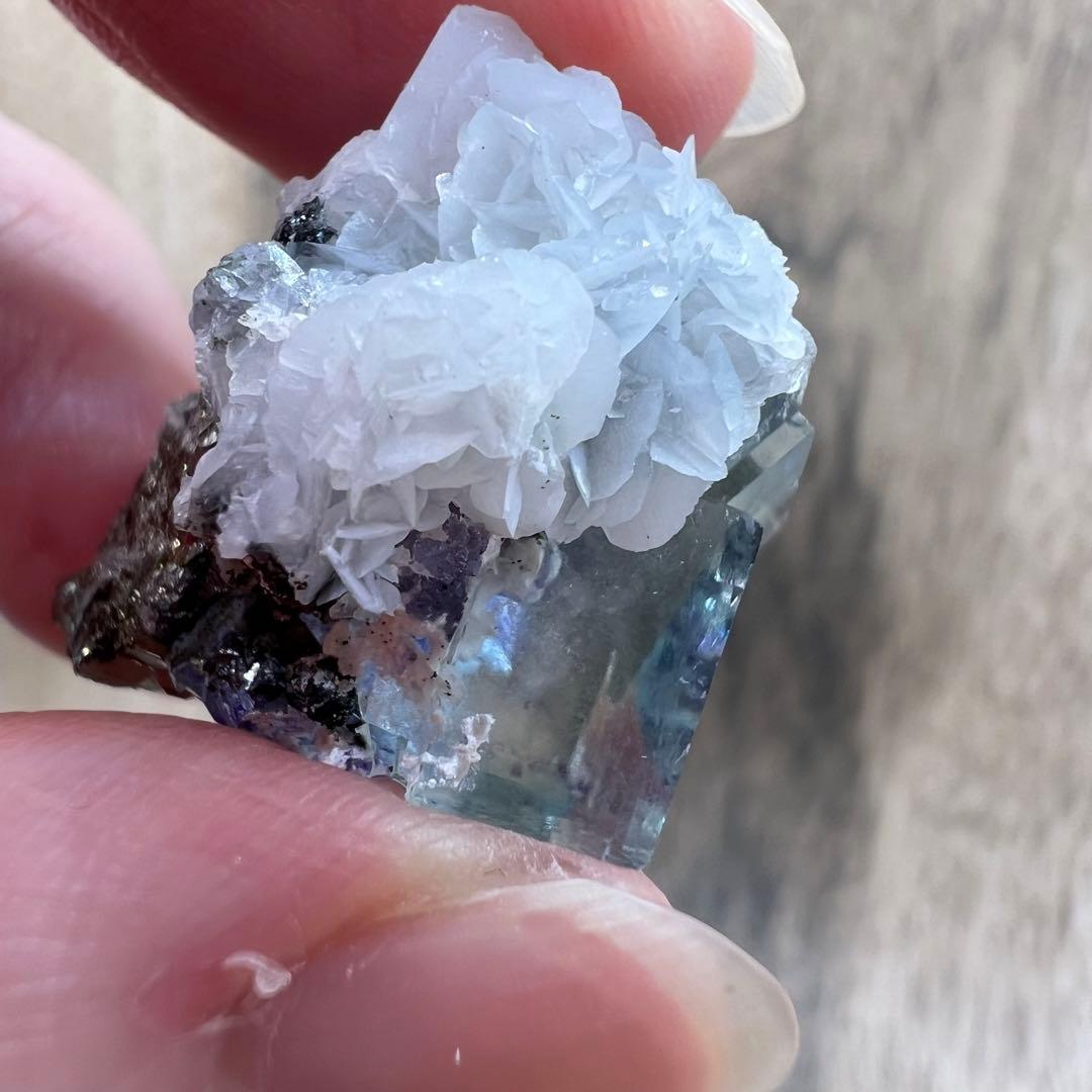 フローライト パイライト F2 カルサイト 共生 鉱物 標本 原石