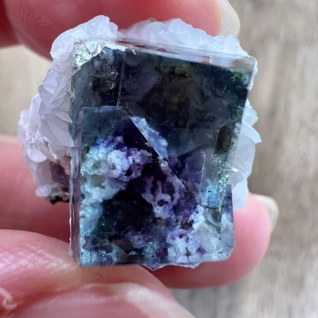 フローライト パイライト F2 カルサイト 共生 鉱物 標本 原石