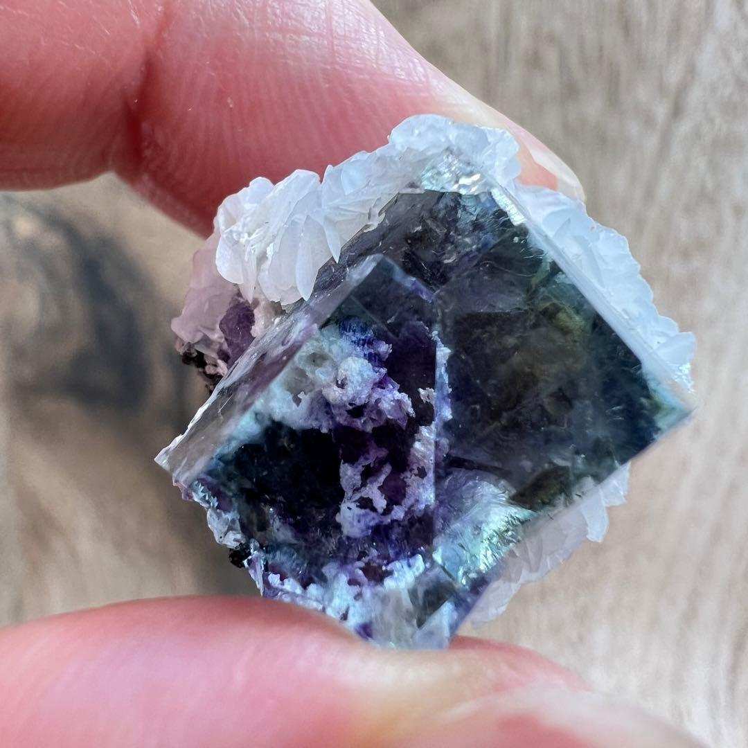 フローライト パイライト F2 カルサイト 共生 鉱物 標本 原石