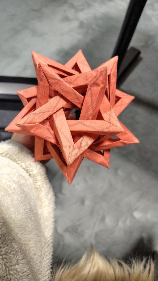 COLONISTA 　CONPE10 　Coral