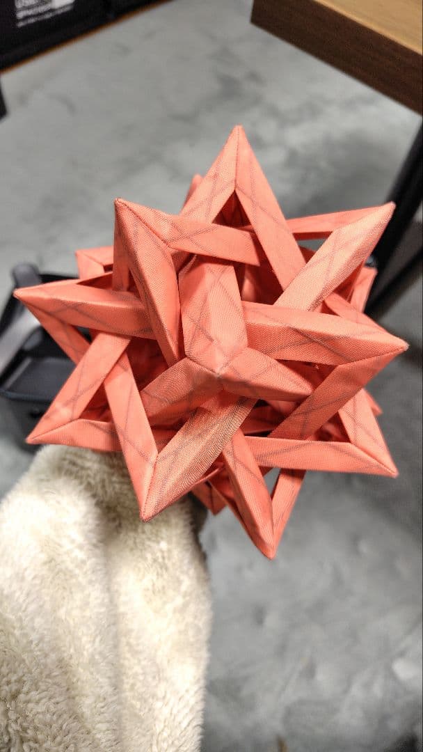 COLONISTA 　CONPE10 　Coral