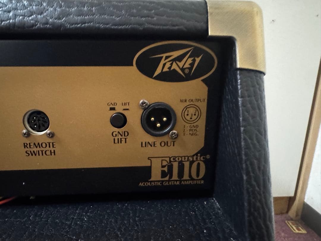 Peavey E110 アコースティックギターアンプ