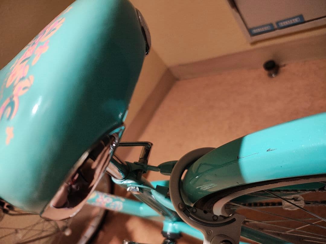 子ども　自転車 ブリヂストン エコパル20 20インチ　女の子　子供