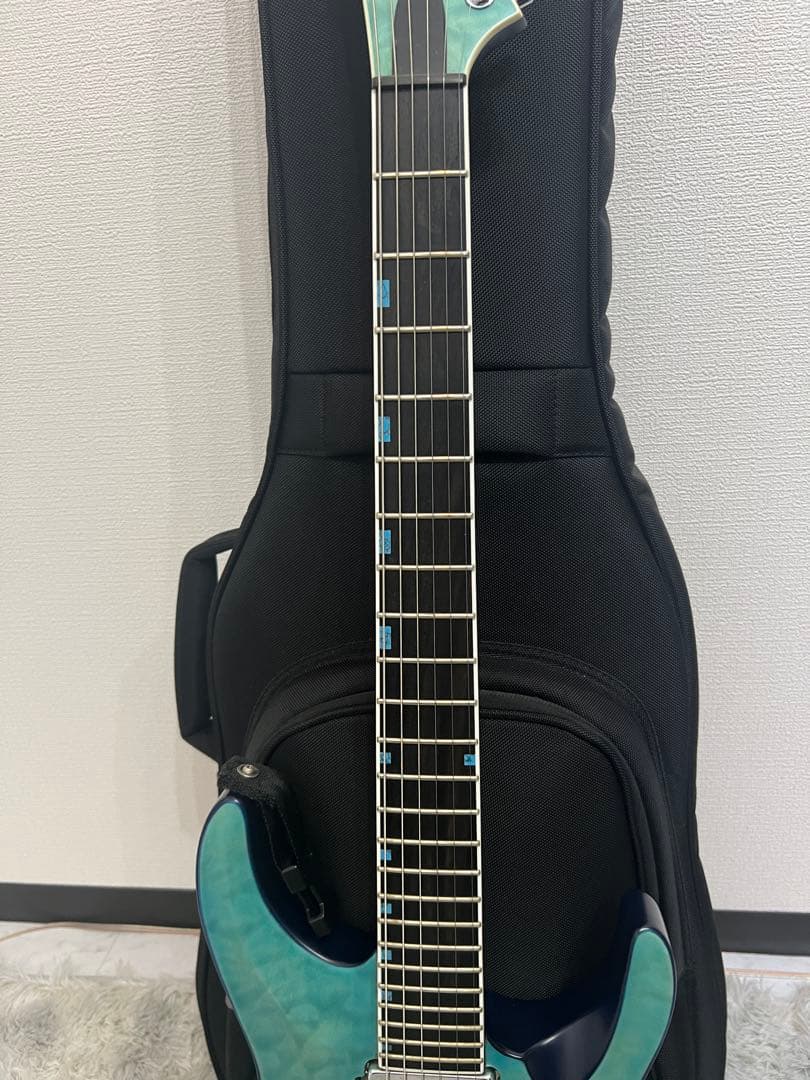 【1週間限定:お値引き】EDWARDS E-HR-SNT