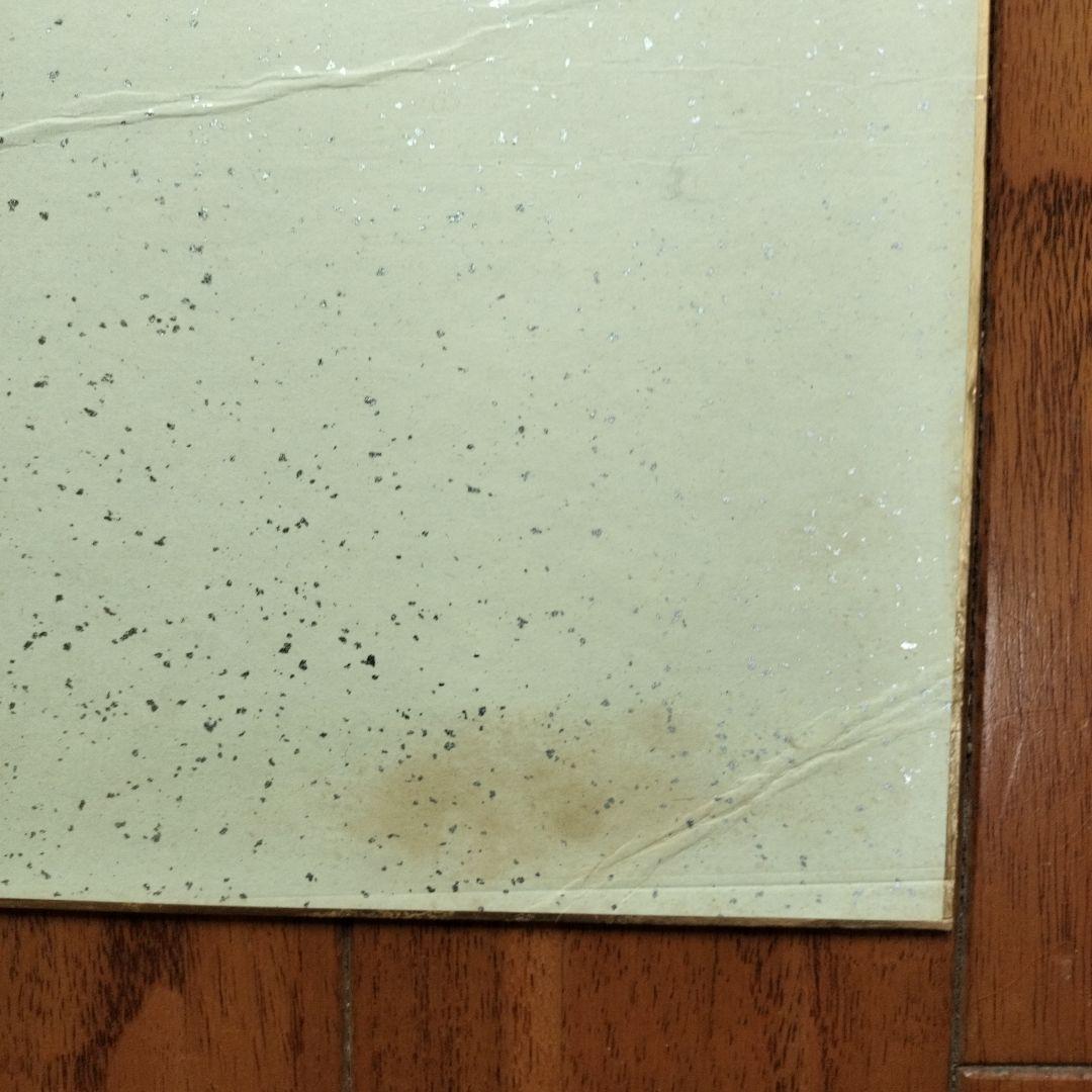 矢口高雄　直筆の釣りキチ三平イラスト・サイン落款あり