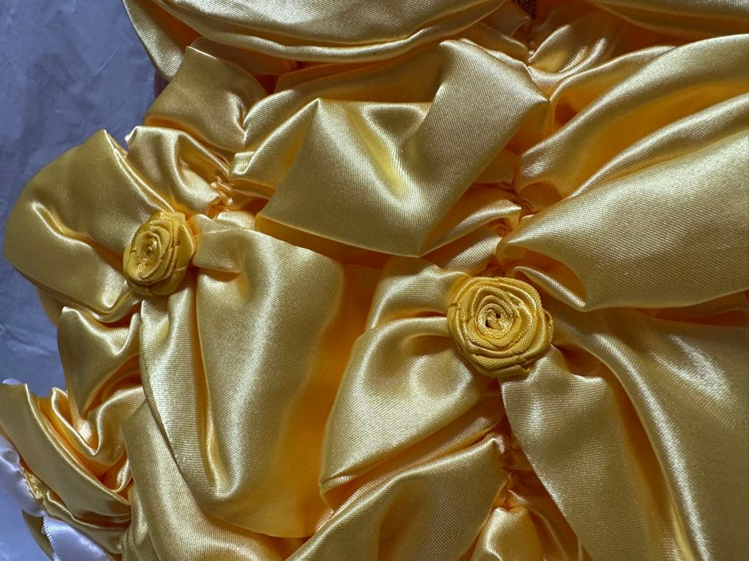 ディズニーストア ユニベアシティ 美女と野獣 コスチュームセット