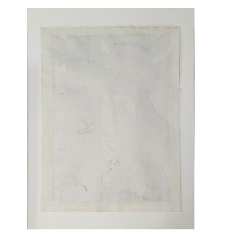 ☆手島圭三郎☆「ふくろうと少女、花」木版画　全紙サイズ　未使用額！