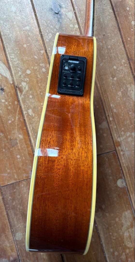 エレアコ DCT F-200E Fishman搭載