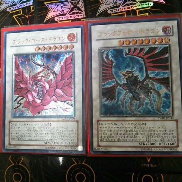 遊☆戯☆王5D's  シグナーの竜