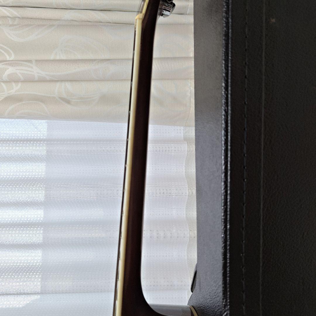 Morris MV-705 & Martin ハードケース