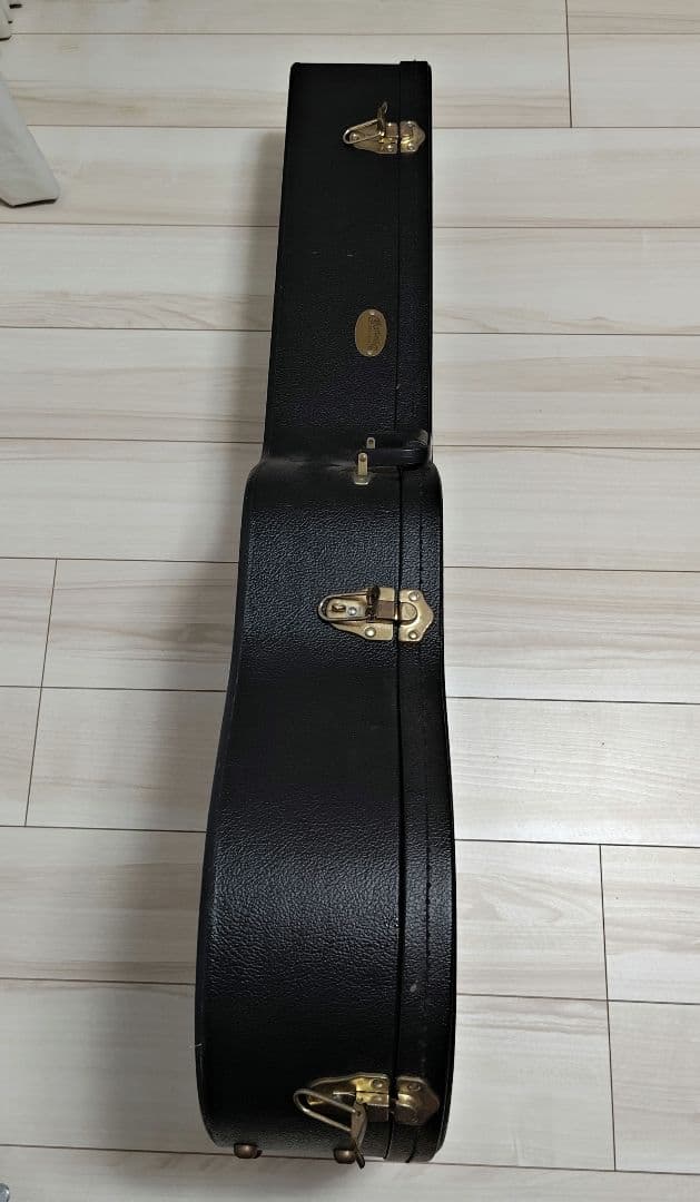 Morris MV-705 & Martin ハードケース