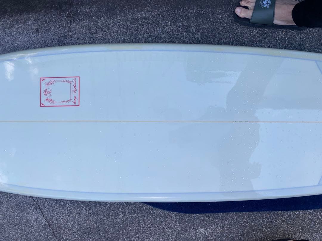 LUNGE SURF BOARDS ファンボード 6.8