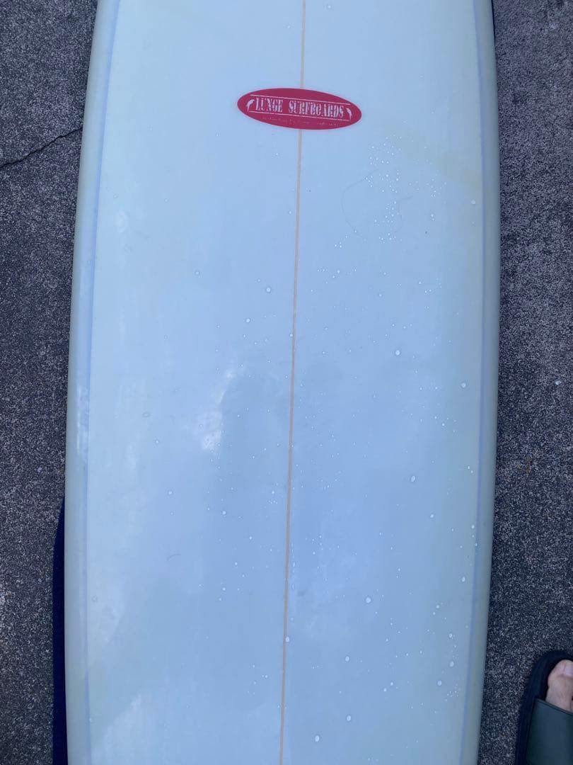 LUNGE SURF BOARDS ファンボード 6.8