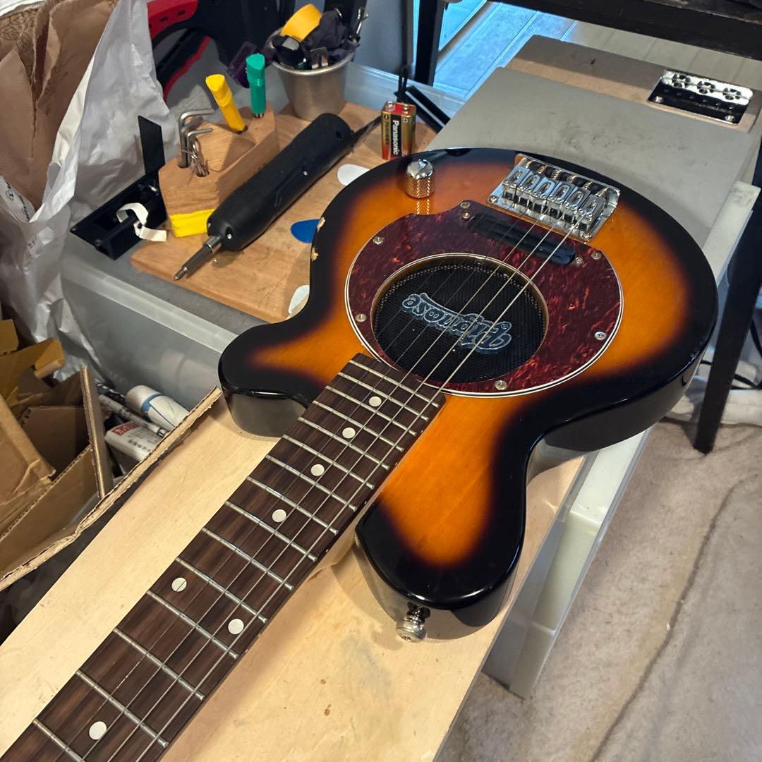 ピグノーズPGG200 サンバースト