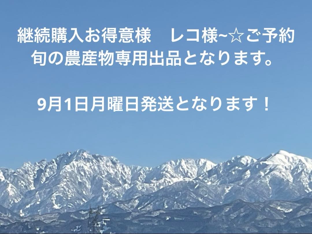お得意様レコ様~☆ご予約分専用出品ページ
