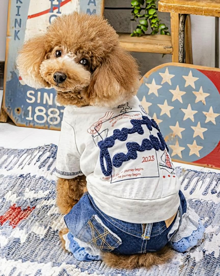 新品タグ付き　レース☆デニムPT 　asknowasdewan　アズノウアズデワ