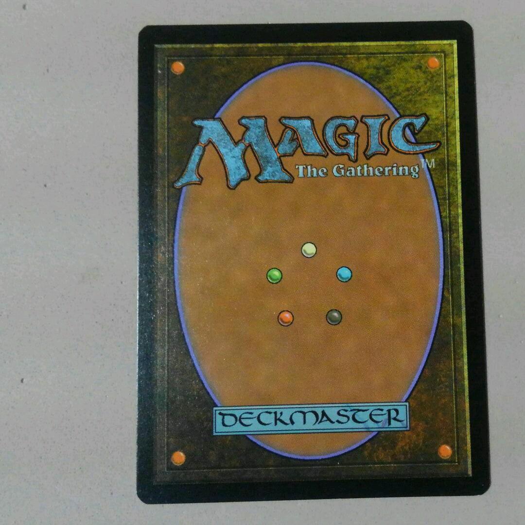 MTG 森の知恵 Foil CMA 英語 ②