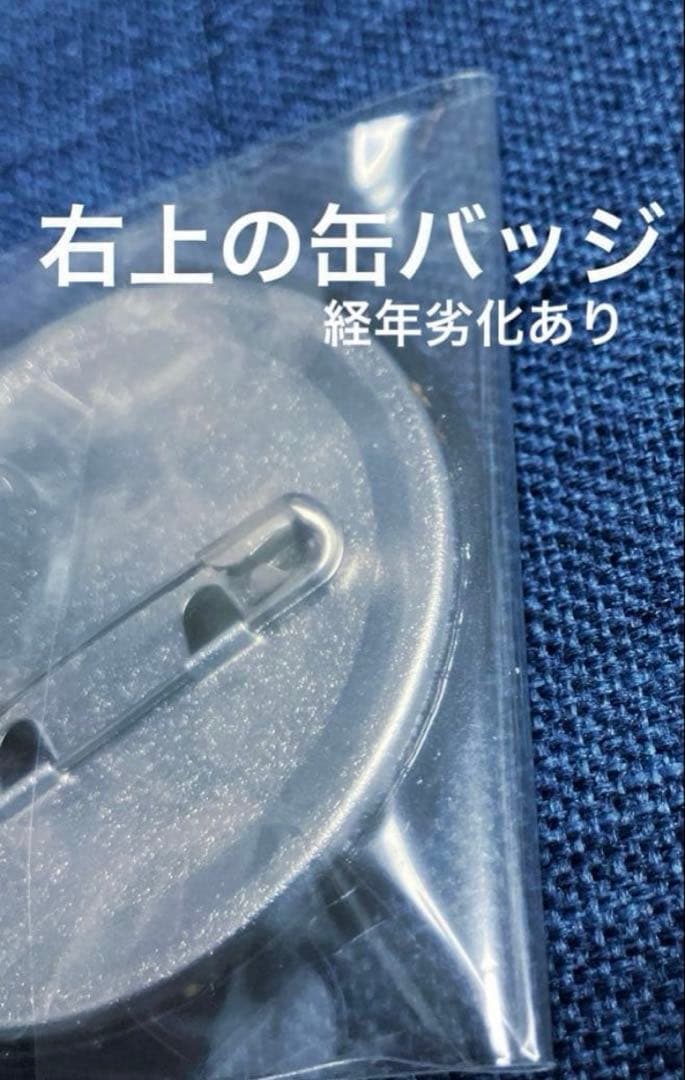 BLEACH ブリーチ　ダッシュストア　缶バッジ　アクリル　藍染惣右介