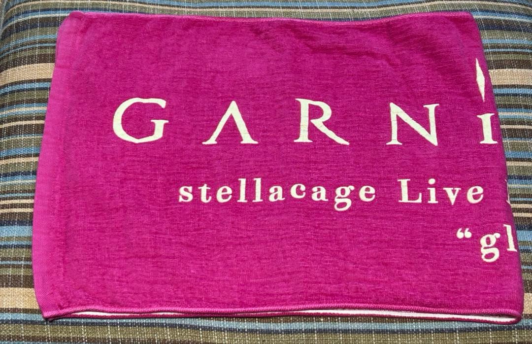 GARNiDELiA MARiA 美依礼芽 ブロマイド ミニカード ペンライト他