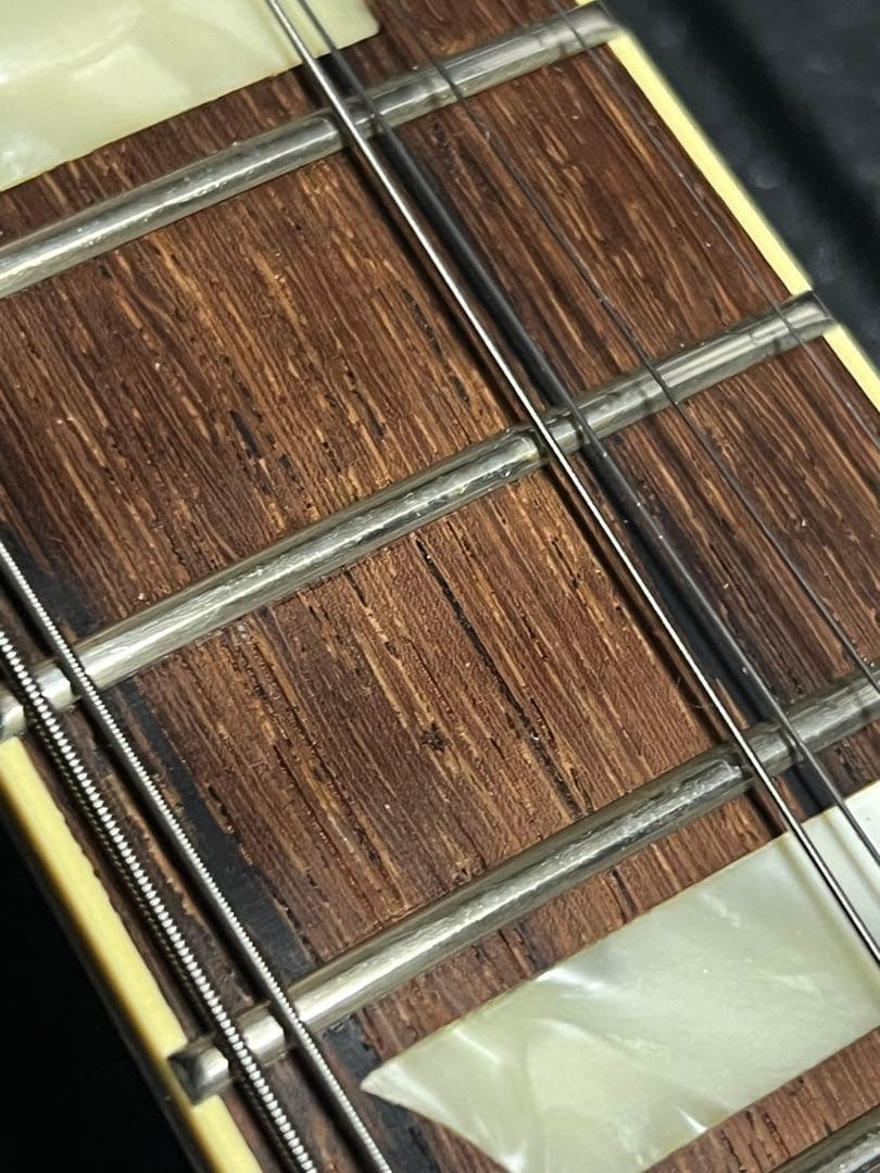 cassy 専用　provision プロビジョン　レスポールスペシャル　DC