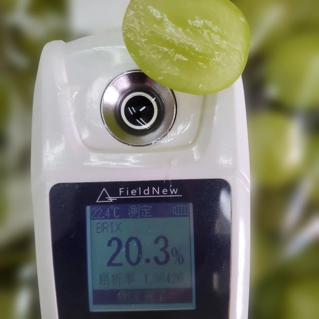 4️⃣ 山梨県産 シャインマスカット １1房入り 箱込み5.5キロ