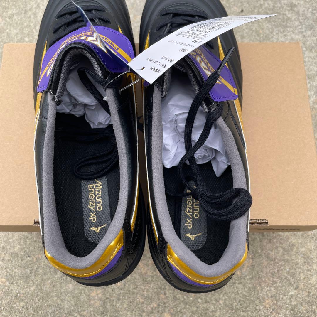 Mizuno Morelia SALA ELITE TF サンフレッチェ 青山