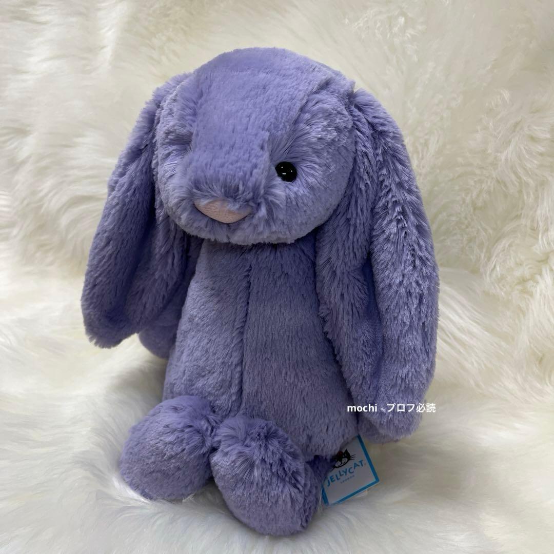 Original BashfulViolaBunny うさぎ
