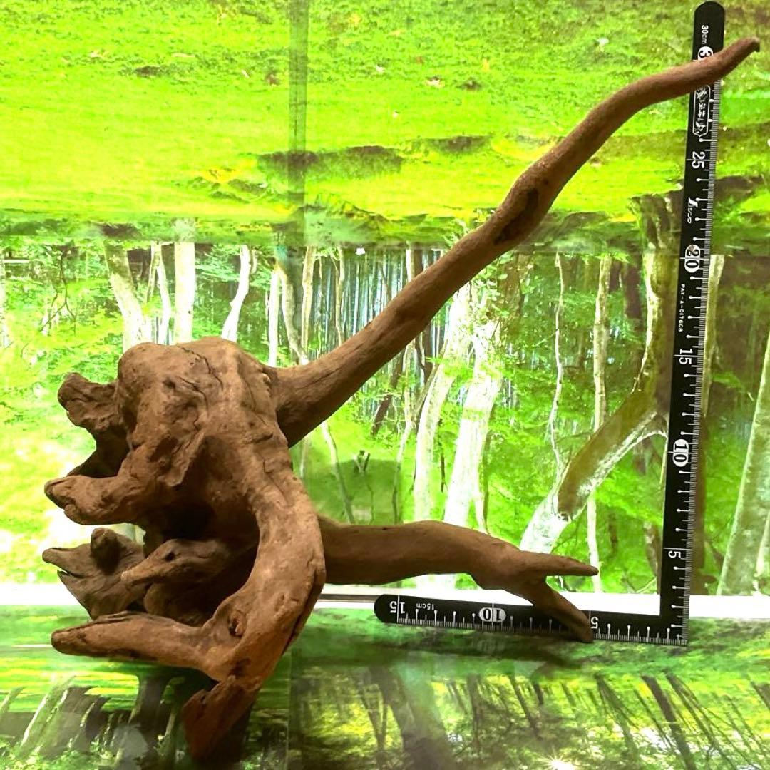 モスキート4点 天然水槽用流木