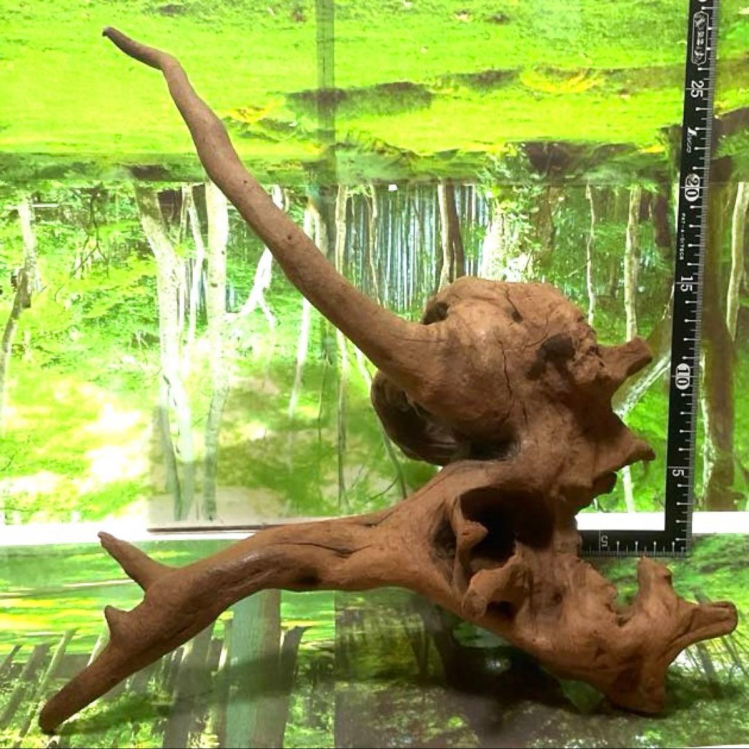 モスキート4点 天然水槽用流木