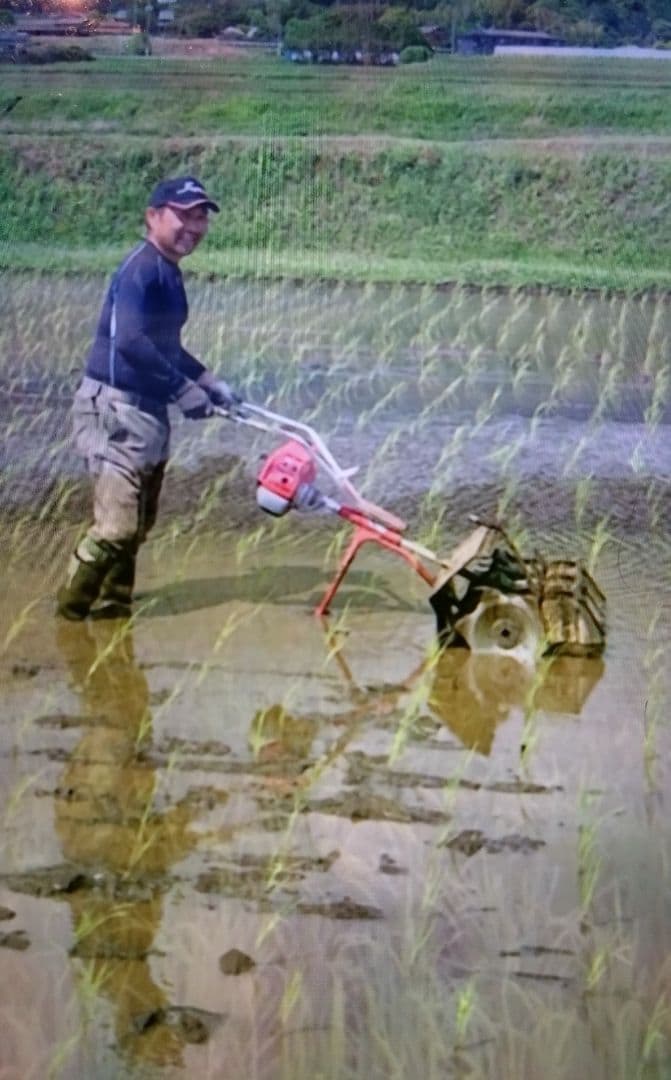 2 令和7年 自然栽培米 亀の尾20kg精米