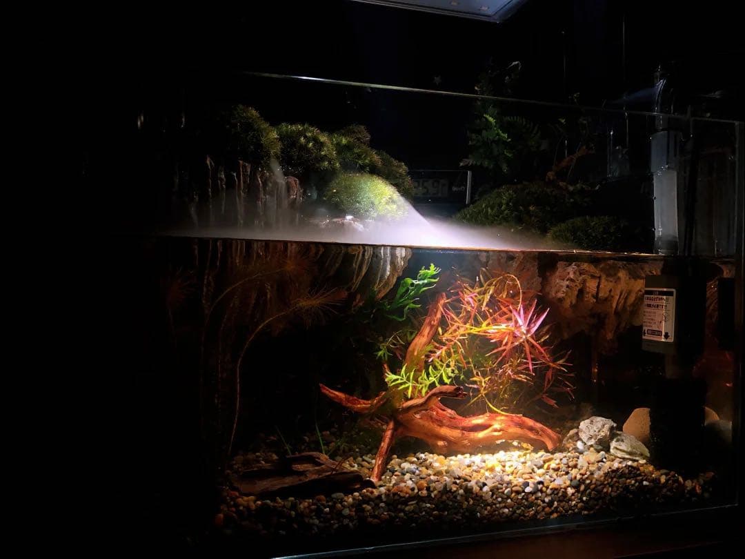 水槽 オーダー品