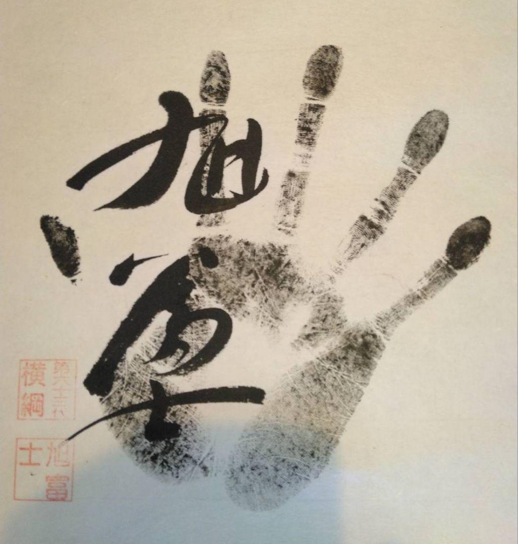 若乃花 　貴乃花　大鵬　千代の富士 他　大幅 歴代横綱14名サイン入り手形朱印有