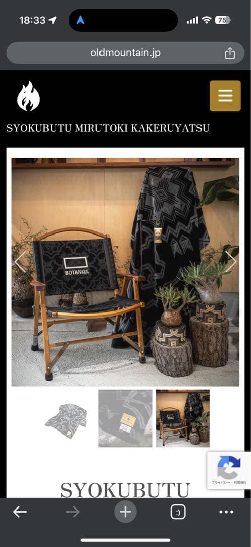 d*2様 OLD MOUNTAIN BOTANIZE ブランケット カケモノ