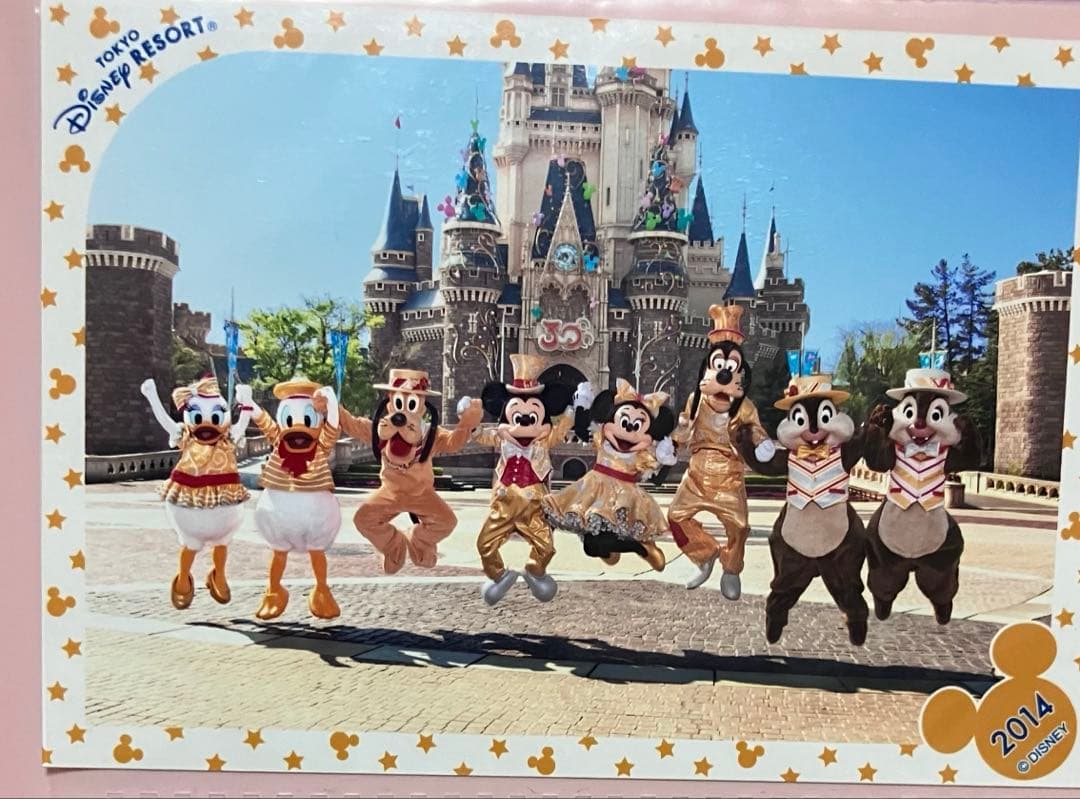 ディズニー スペシャルフォト 金コス ミッキー 2014