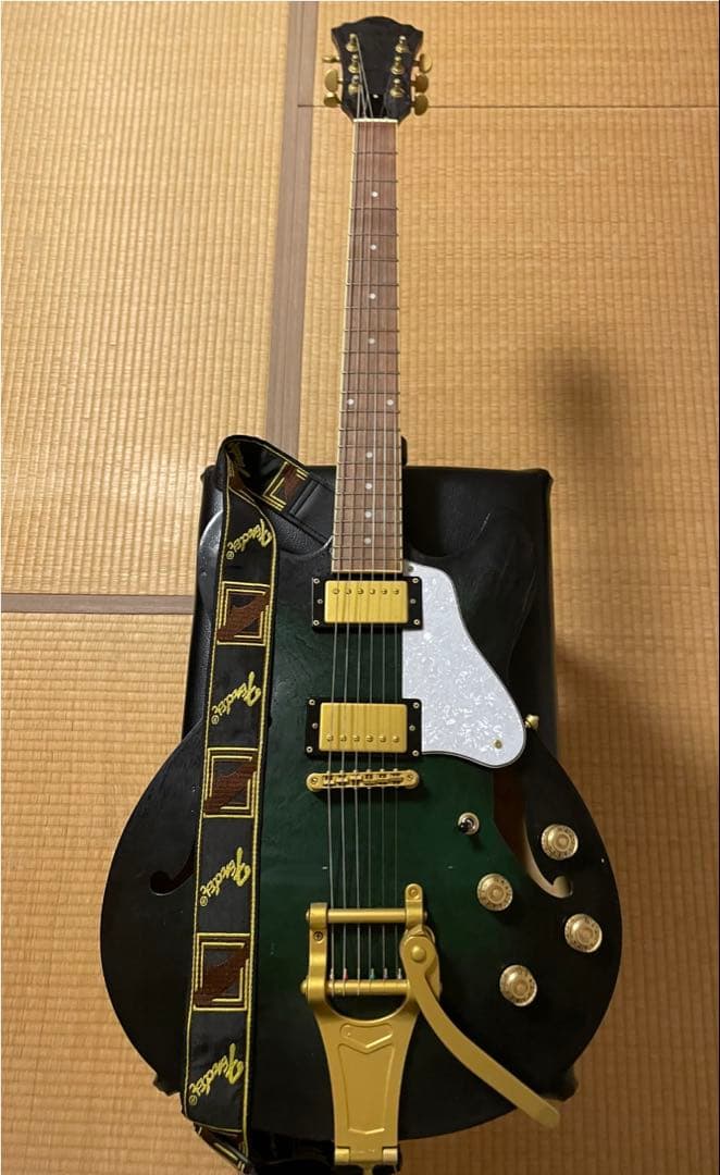 グラデーショングリーン エレキギター ハードケース付き