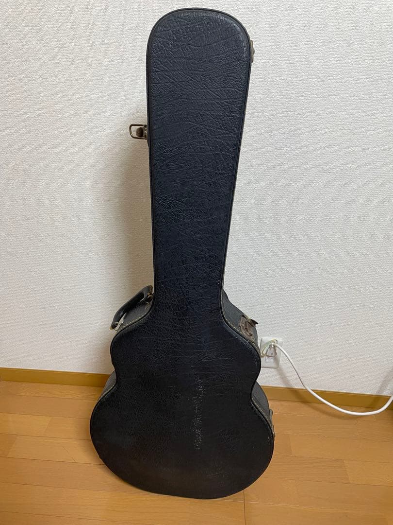 グラデーショングリーン エレキギター ハードケース付き