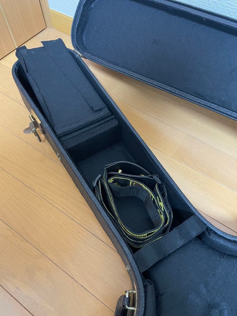 グラデーショングリーン エレキギター ハードケース付き