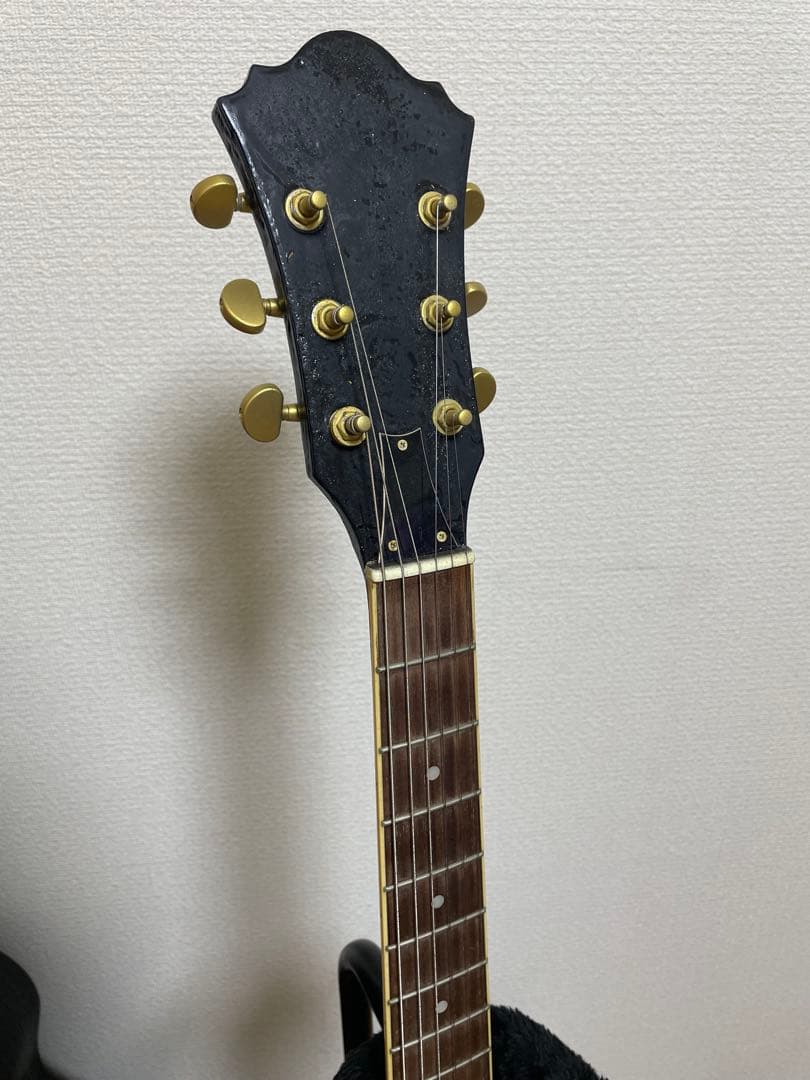 グラデーショングリーン エレキギター ハードケース付き