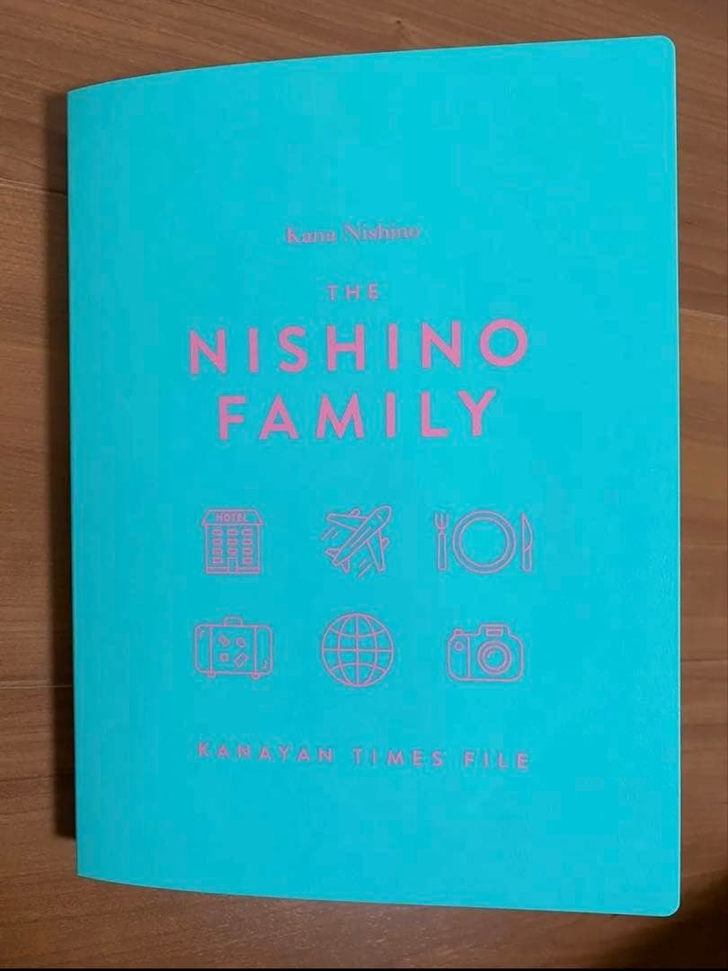 西野カナ LIVEグッズ 引退品 セット売り ペンライト CD パンフ等