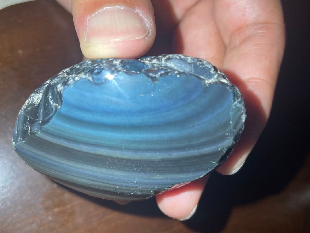 研磨品　十勝石玲瓏特級品　ブルーベースレインボーオブシディアン