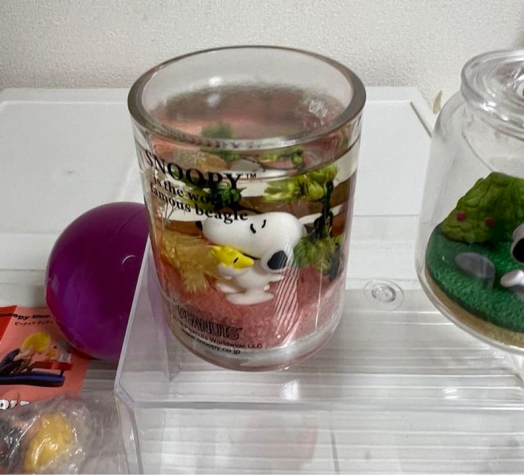 スヌーピー、テラリウム、CAFE