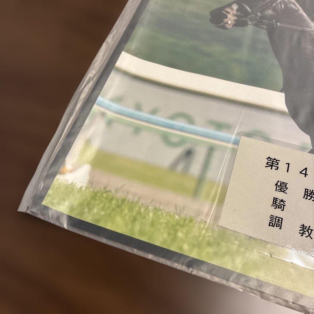 第147回天皇賞（春） フェノーメノ