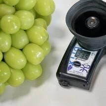 山梨県産【5kg】高級シャインマスカット” プレミアム,大粒【糖度20～23度】