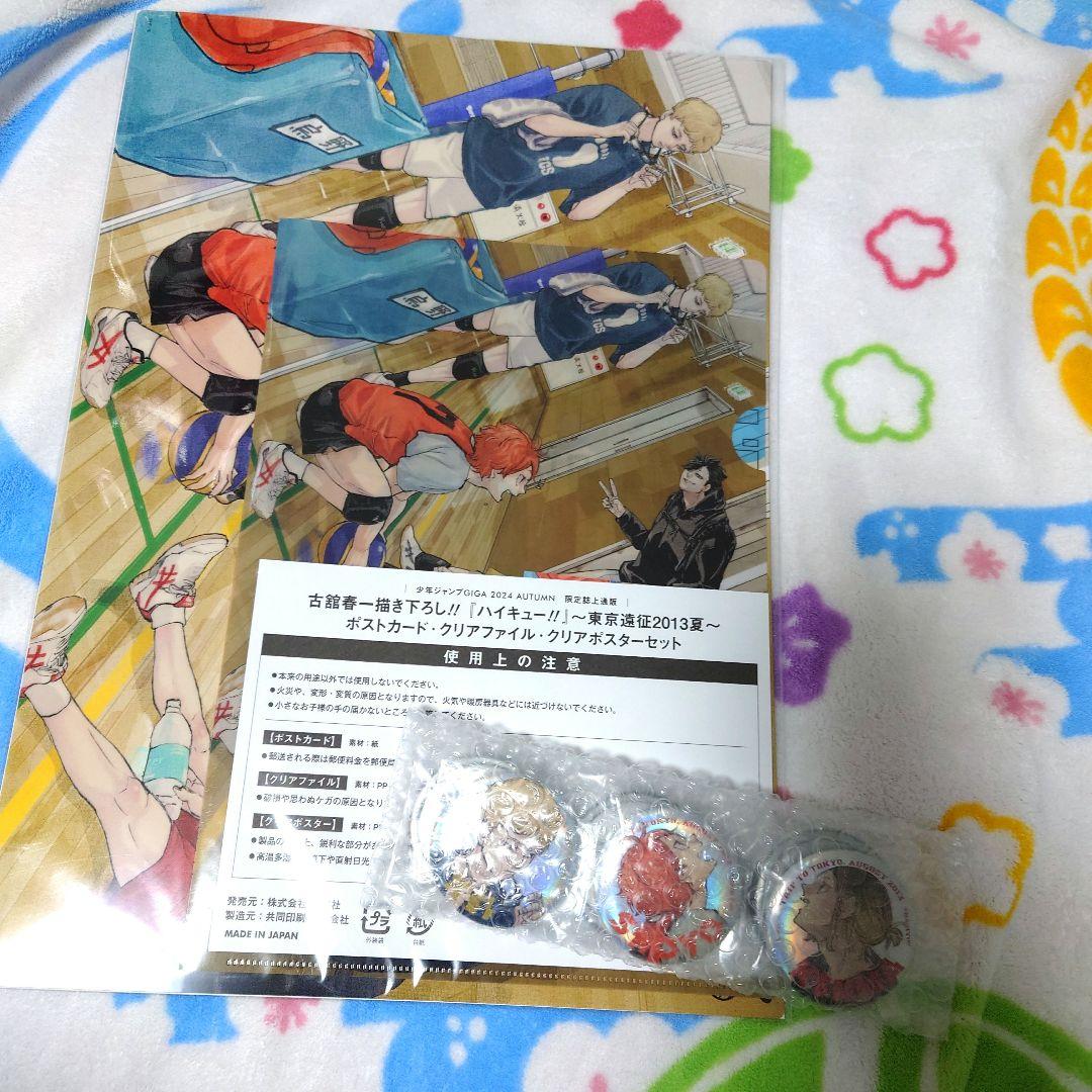 ハイキュー 10thクロニクル 画集 アクスタ 缶バッジ ポスター 記念本 排球