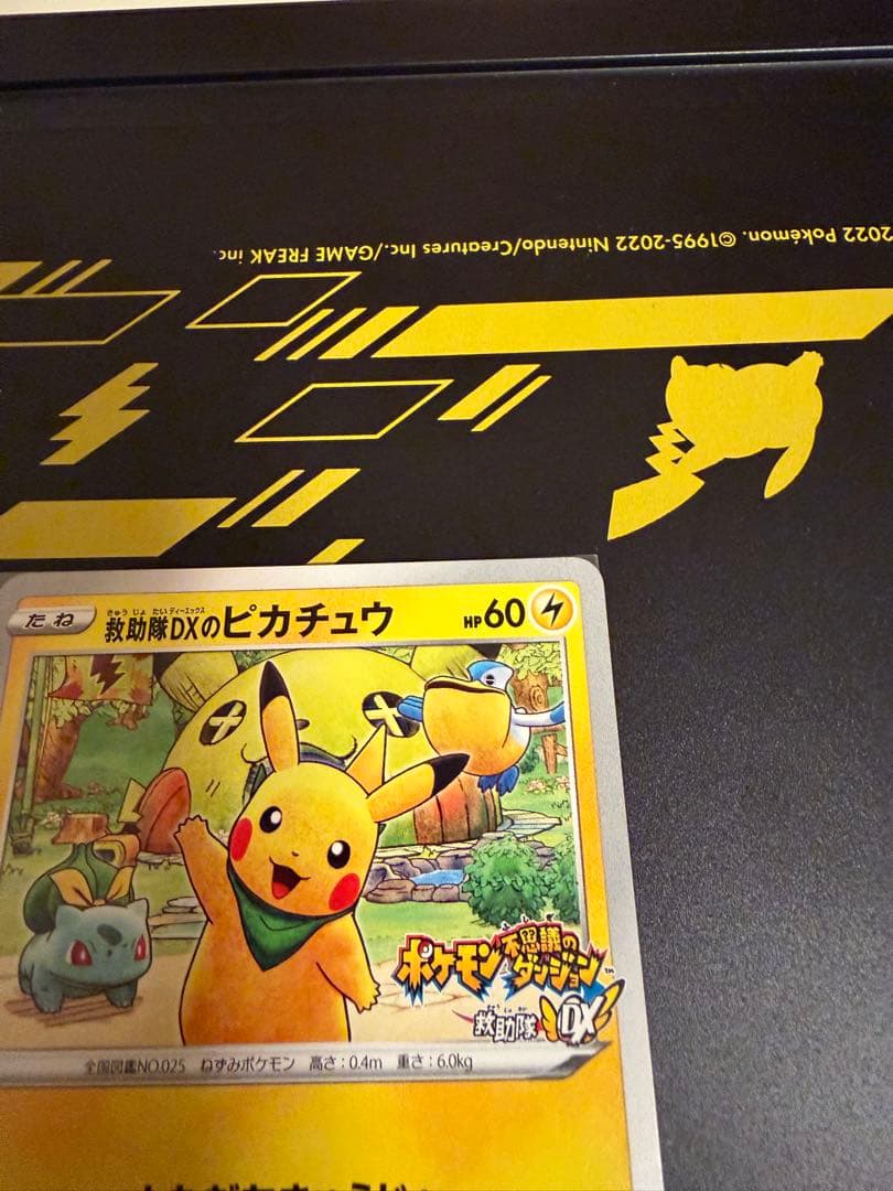 救助隊DXのピカチュウ