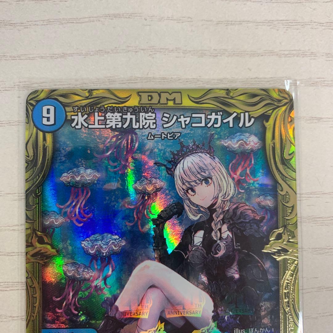 水上第九院シャコガイルb