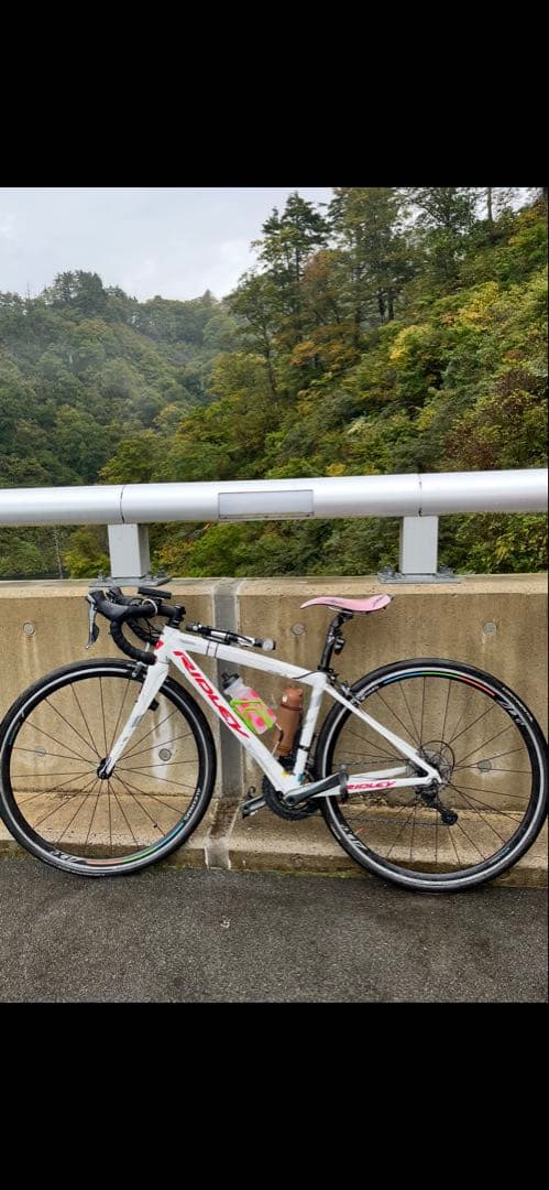 リドレーフェニックスＡ　３ＸＳサイズ　弱虫ペダルコラボ